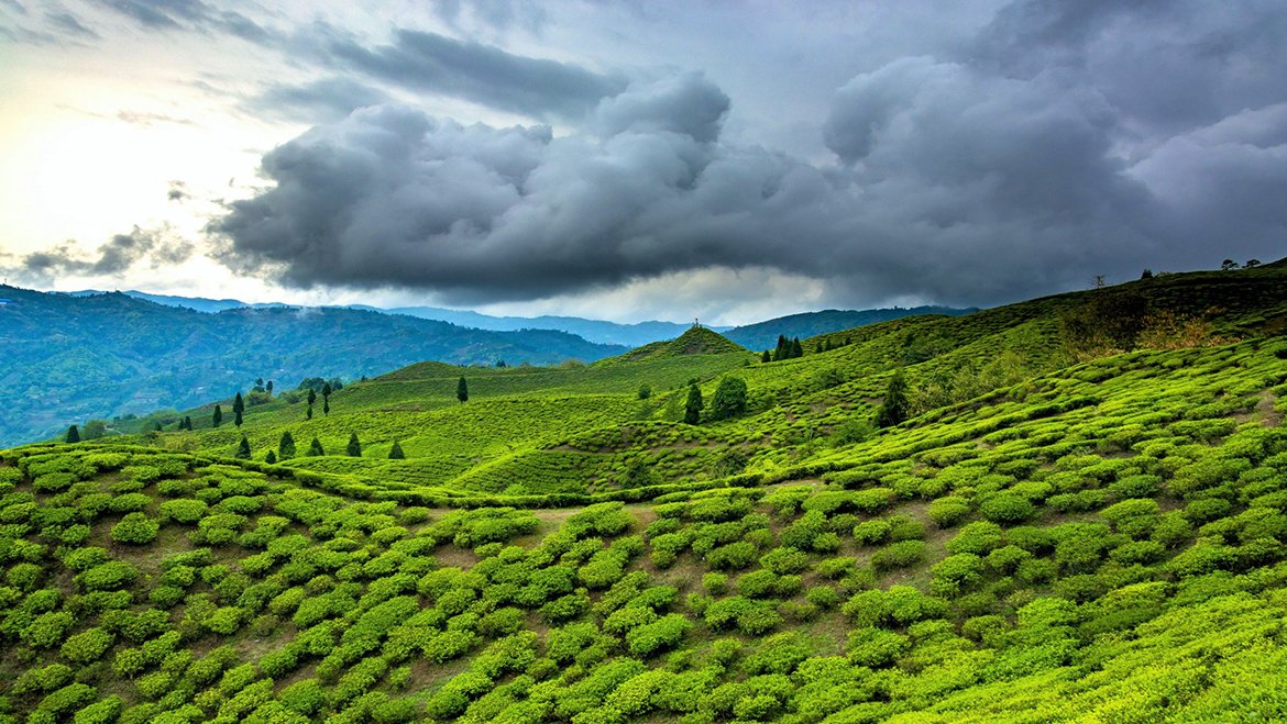 Assam - Meghalaya